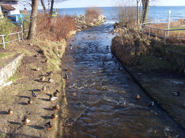 Rzeka uchodzi do Zatoki Gdańskiej