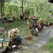 Mój ogródek