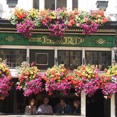 Pub w kwiatach
