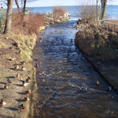 Rzeka uchodzi do Zatoki Gdańskiej
