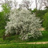 Wiosna 2012