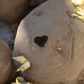 coś z miłością wygryzło serce w tym ziemniaku;)))