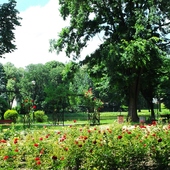 Park Róż