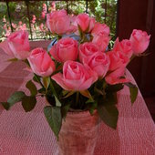 Piękne Róże od koleżanki