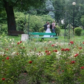 sesja ślubna w parku...?