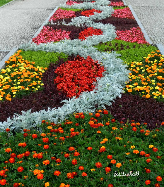 Kwiatowy dywan w Parku Zdrojowym w Kudowie.