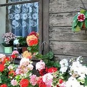 Malowany Domek...   kwiatami