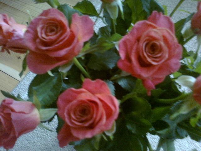 kocham róze
