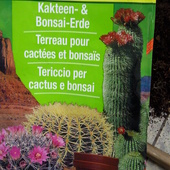 Ziemia do kaktusow 