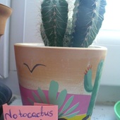 kolejny tajemniczy kaktus