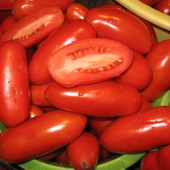 Surowiec na suszone pomidorki