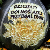 Dziesiąty Dolnośląski Festiwal Dyni