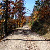 Jesienna wędrówka szlakami górskimi
