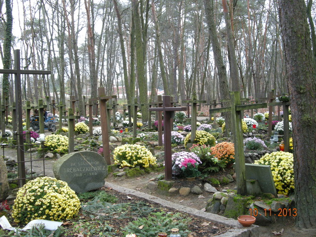 Leśny cmentarz w Laskach