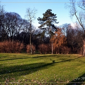 Dzisiejsze blaski i cienie poranne w Parku Praskim.