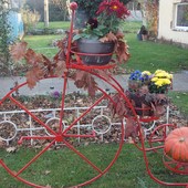 Jesienny rowerek:)
