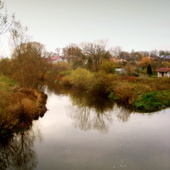 Malownicza rzeka Wieprza