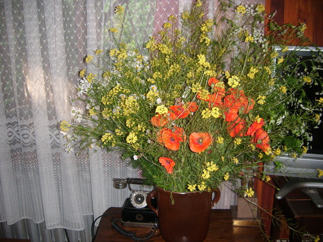 bukiet kwiatów polnych 