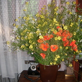 bukiet kwiatów polnych 