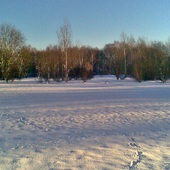 Krajobraz zimowy z mojej okolicy