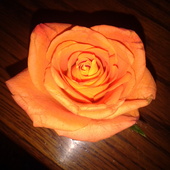 Róża Dla Babci...: