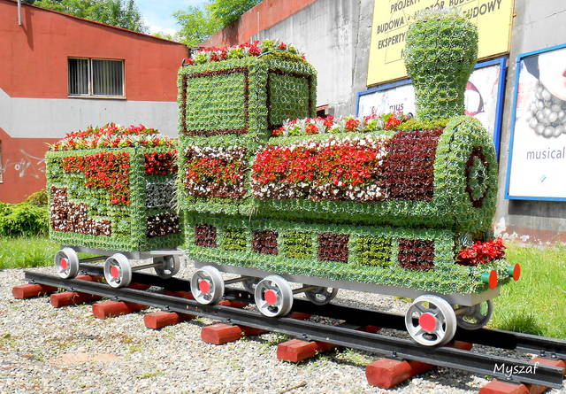kwiatowy pociąg