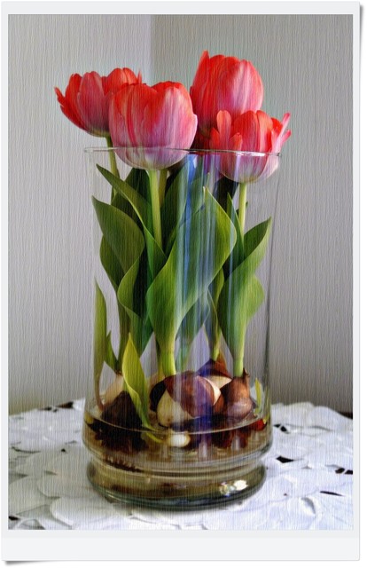 Tulipany .....