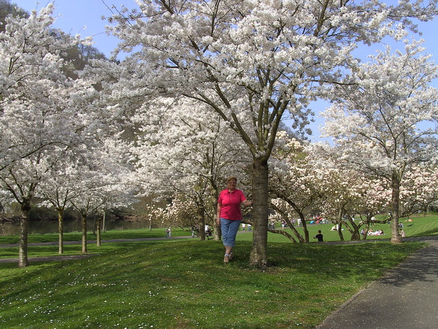 kwitnacy park na wiosne
