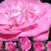 Różowych  snów :):)