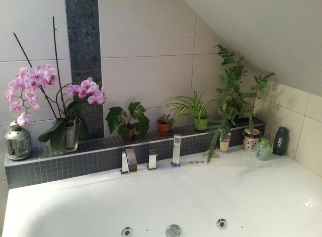 w łazience też musi być zielono part I. :)
