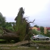 Łańcut - po nawałnicy, było takie wielkie piękne drzewo :(