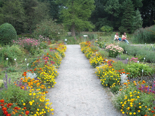 botaniczny ogród kraków