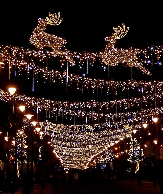 Świąteczna Łódź
