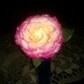 :) róża