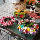 W Krakowie na rynku