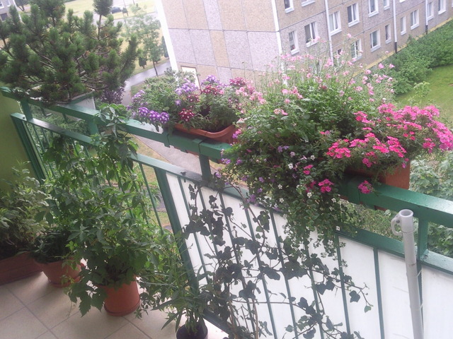 Mój balkon