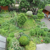 widok na ogródek