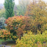 Jesień z mojego okna 