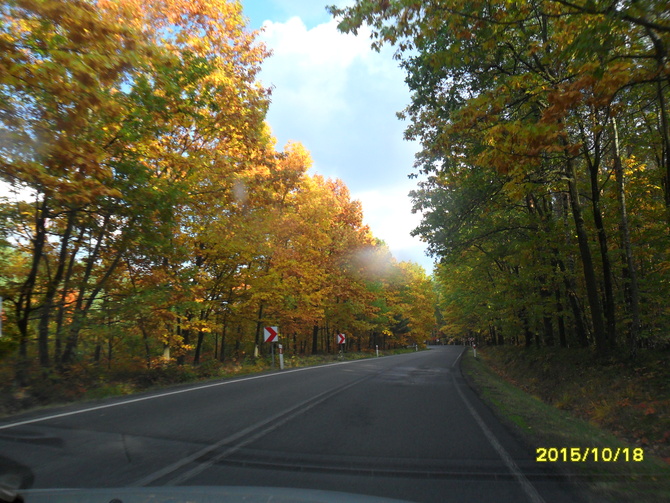 Barwy  jesieni w Polsce