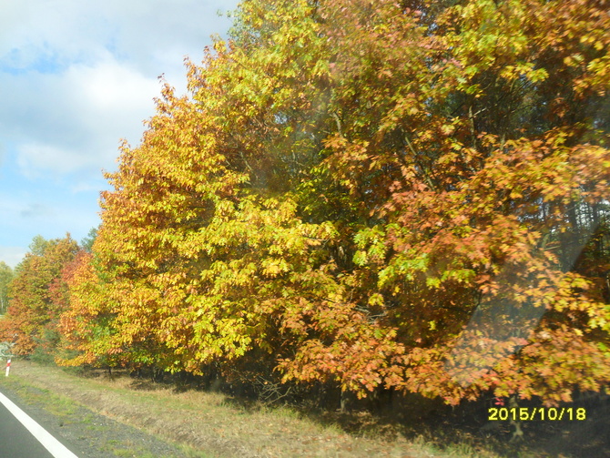 Barwy jesieni w Polsce