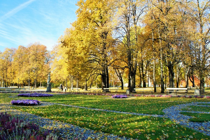  W parku jesienią 