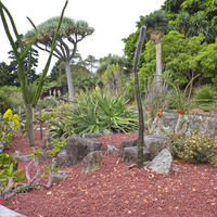 Ogród botaniczny