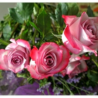 Róże z bukietu