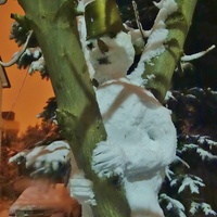 A Na Drzewa Zima...j