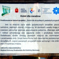 Hotel dla owadów cz. 2