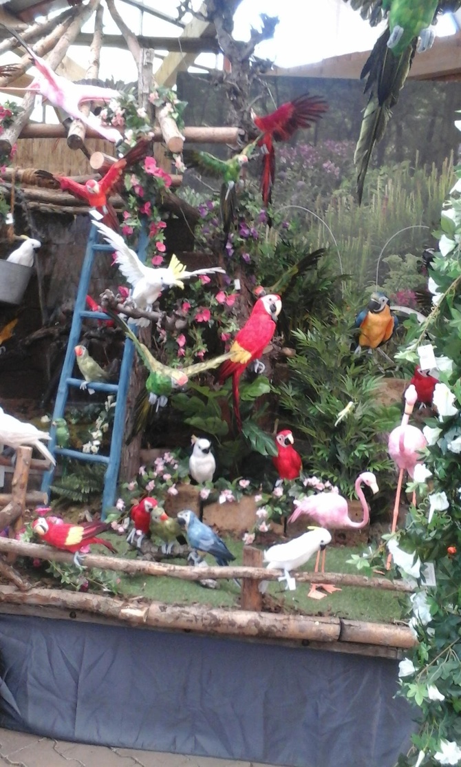 Papugi raj