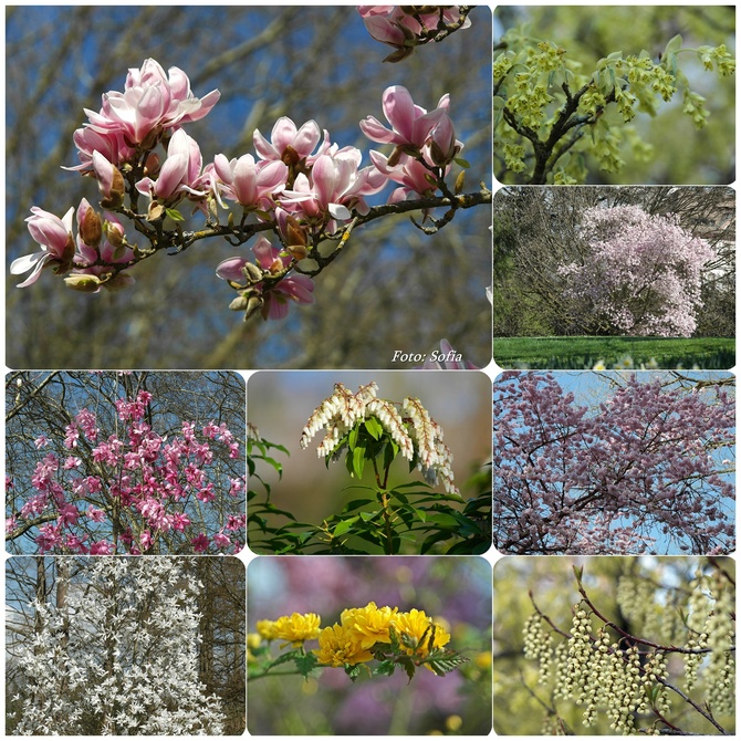 Wiosna w całej krasie...