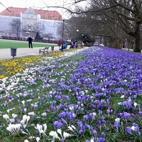 Szczecin wiosennie
