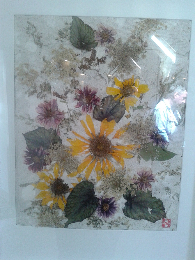 kwiaty z Dusznik Zdroju