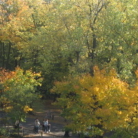 Jesień idzie przez park...